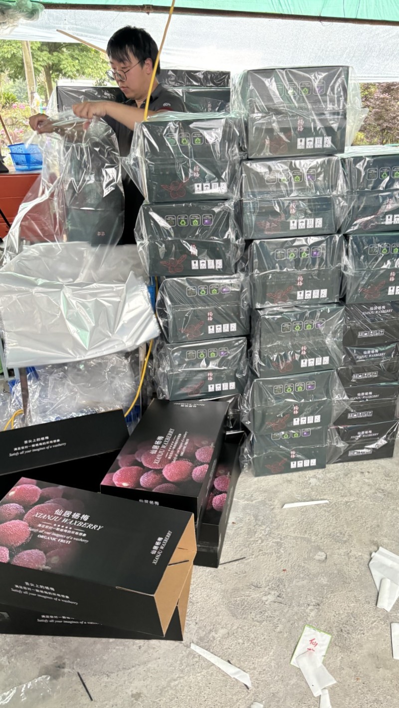 正宗仙居东魁杨梅现摘现发顺丰冷链礼盒装