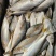 青甘