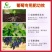 葡萄专用肥，有机质百分之40，有效活菌数每克2亿个