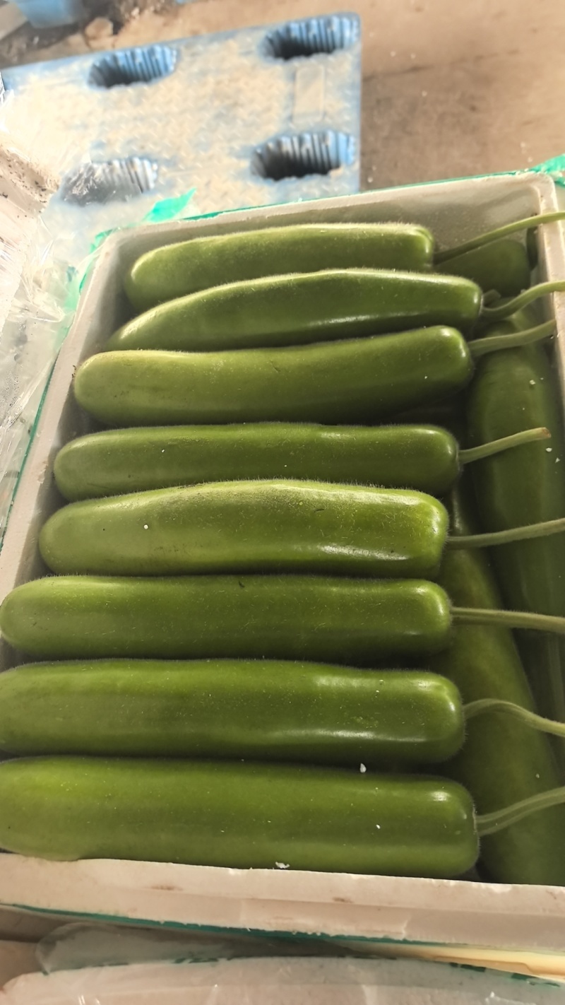 量大从优，保质保量