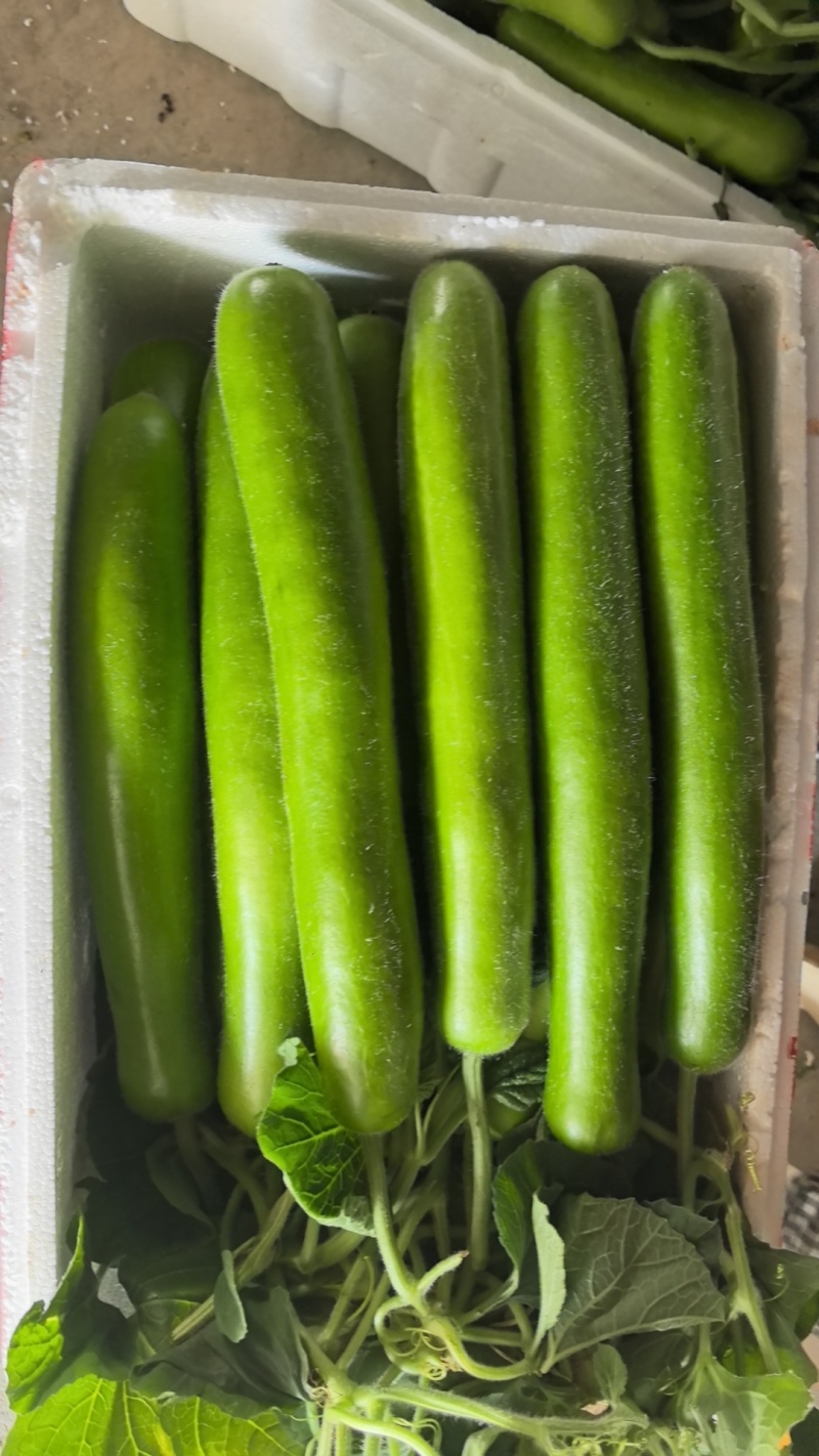 量大从优，保质保量