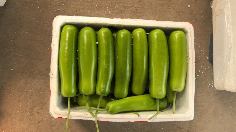 量大从优，保质保量