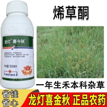 正品江苏产烯草酮除草剂牛筋草大豆田一年生禾本科杂草苗后专