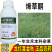 正品江苏产烯草酮除草剂牛筋草大豆田一年生禾本科杂草苗后专