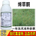 正品江苏产烯草酮除草剂牛筋草大豆田一年生禾本科杂草苗后专