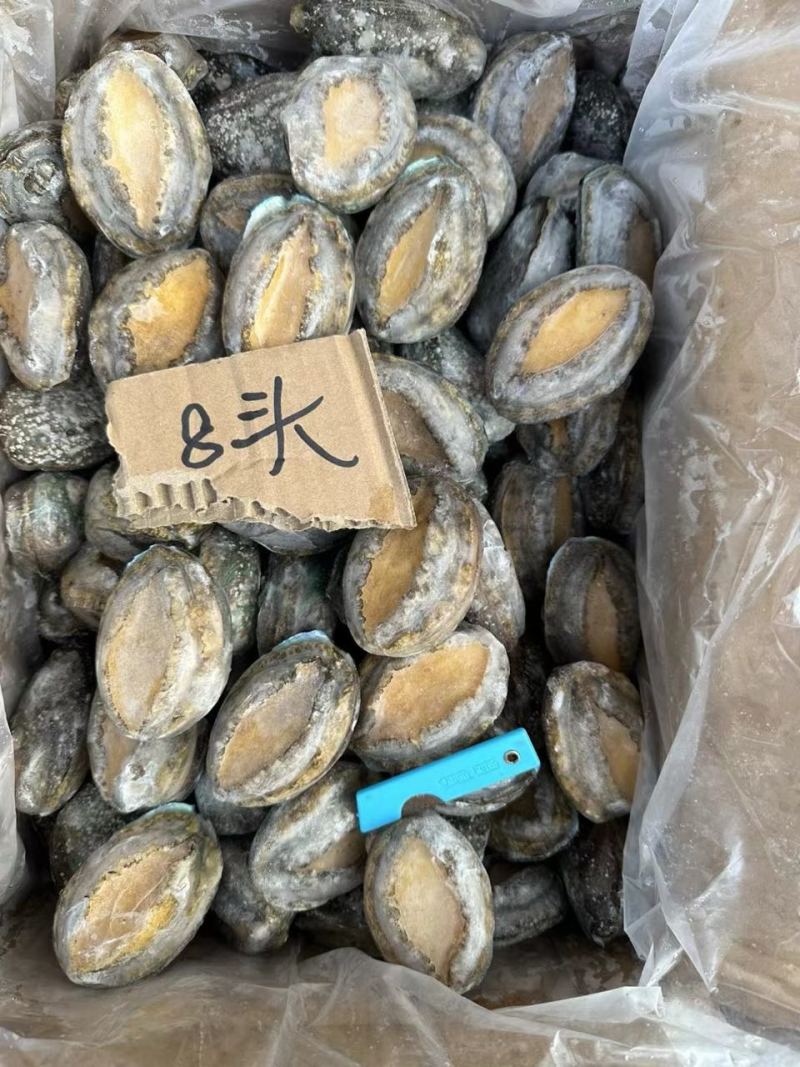 鲜活冷冻鲍鱼，22头到8头全规格有货，，，，
