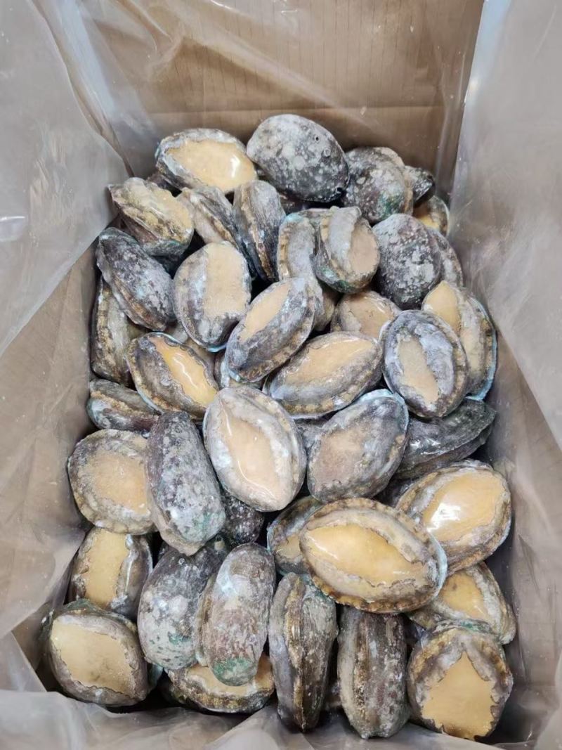 鲜活冷冻鲍鱼，22头到8头全规格有货，，，，