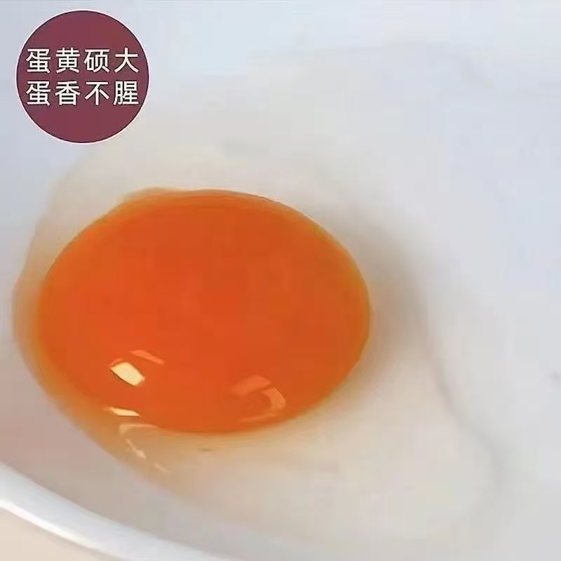 土鸭蛋蛋黄硕大蛋香不腥产地直供品质保证量大从优