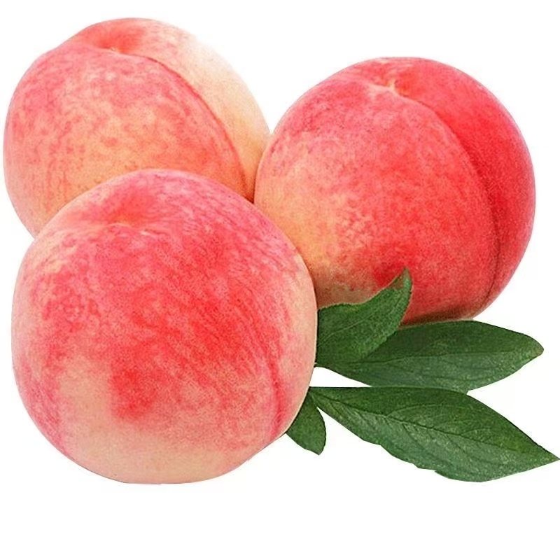 水蜜桃电商通货，刚下新货，支持一件代发，价格低