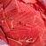 【厂家直发】平凉红牛（鲜生）清真牛排牛腩牛里脊牛胸肉