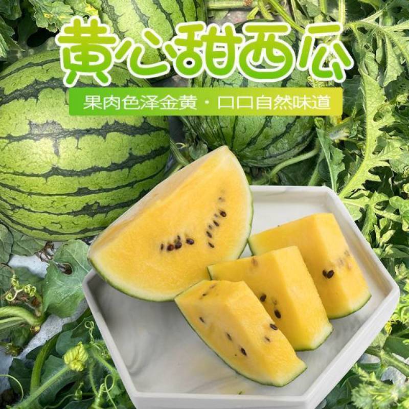 江苏特小凤西瓜全国发货品质保障口味佳江苏西瓜精品西瓜