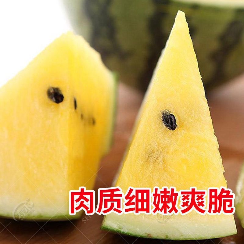 江苏特小凤西瓜全国发货品质保障口味佳江苏西瓜精品西瓜