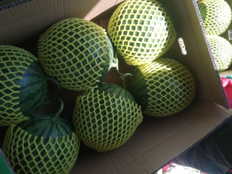 江苏特小凤西瓜全国发货品质保障口味佳江苏西瓜精品西瓜