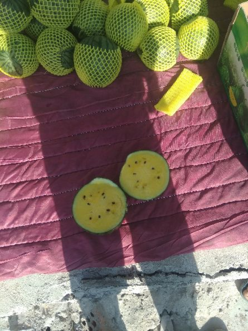 江苏特小凤西瓜全国发货品质保障口味佳江苏西瓜精品西瓜