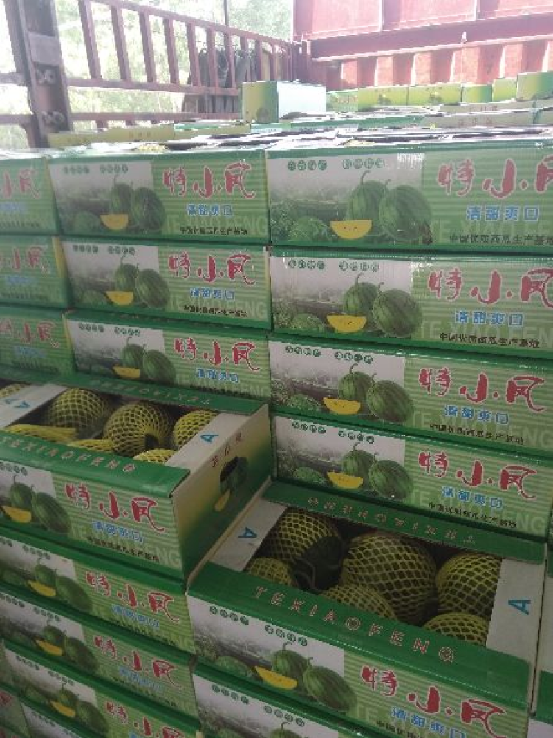 江苏特小凤西瓜全国发货品质保障口味佳江苏西瓜精品西瓜