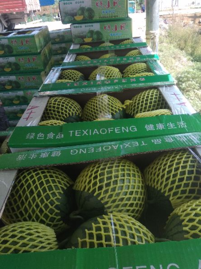 江苏特小凤西瓜全国发货品质保障口味佳江苏西瓜精品西瓜