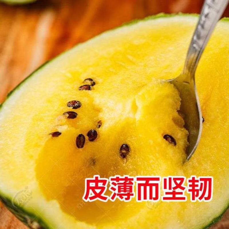 江苏特小凤西瓜全国发货品质保障口味佳江苏西瓜精品西瓜
