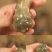 精品摆件质量保证，一手货源，价格合理，全国可以发货