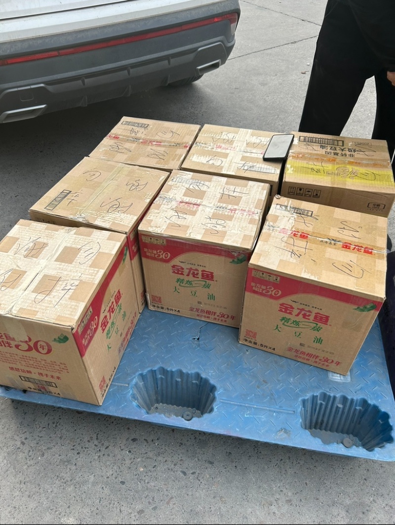 黄粉虫高质量虫卵，带指导简单养殖技术方便孵化。