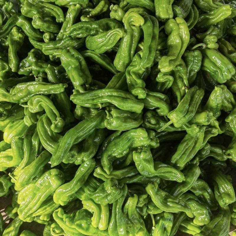 芜湖椒货源充足价钱实惠常年供货视频看货