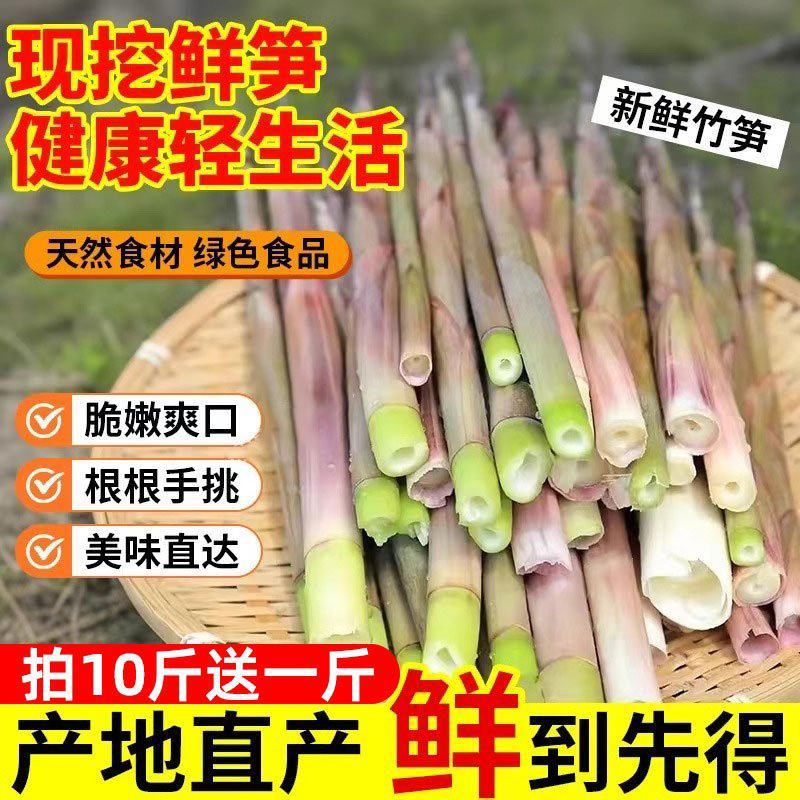 野生小竹笋，甜笋包邮