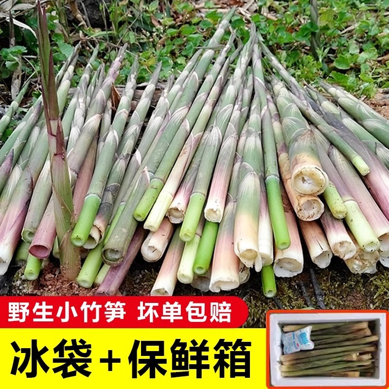 野生小竹笋，甜笋包邮