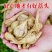 抢购中】新鲜现挖荞头茭头农家自种一件代发批发