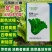 如意浓绿生菜种籽四季耐热耐抽薹半结球生菜种子散叶生菜种子