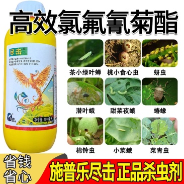 尽击25功夫高效氯氟氰菊酯棉铃虫小菜蛾甜菜夜蛾菜青虫蚜虫
