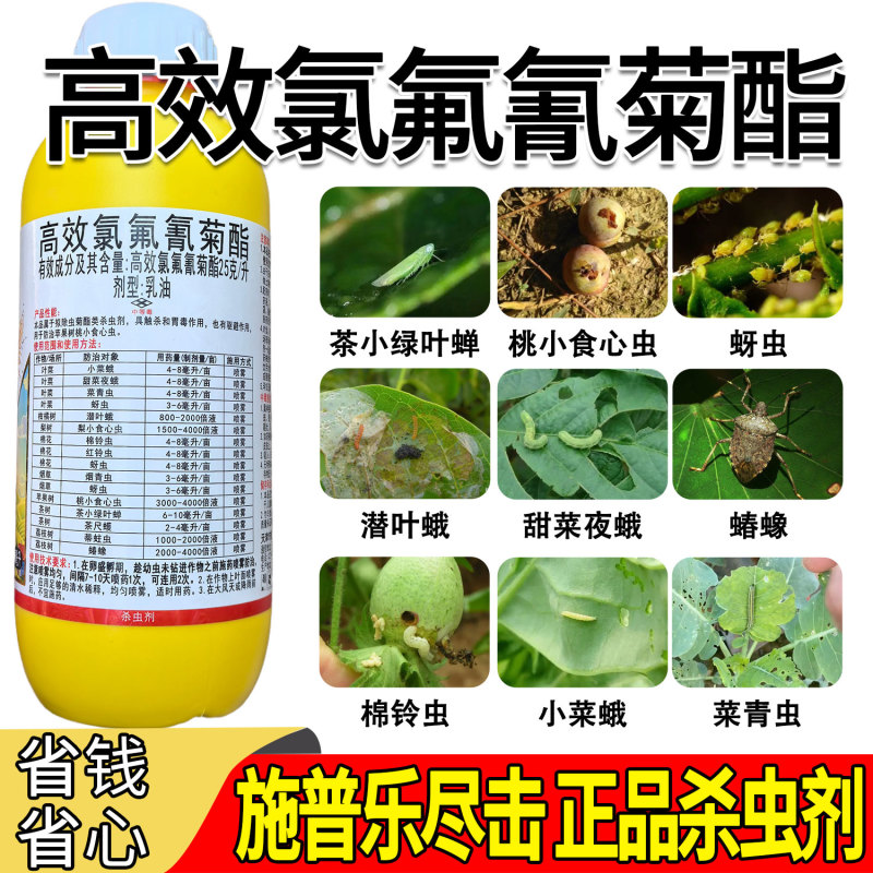 尽击25功夫高效氯氟氰菊酯棉铃虫小菜蛾甜菜夜蛾菜青虫蚜虫