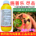 尽击25功夫高效氯氟氰菊酯棉铃虫小菜蛾甜菜夜蛾菜青虫蚜虫
