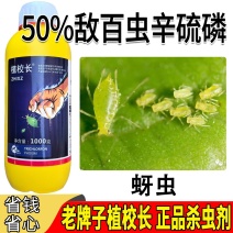 老牌子植校长50%敌百虫辛硫磷棉花蚜虫触杀胃毒杀虫剂