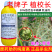 老牌子植校长50%敌百虫辛硫磷棉花蚜虫触杀胃毒杀虫剂