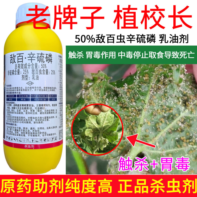 老牌子植校长50%敌百虫辛硫磷棉花蚜虫触杀胃毒杀虫剂