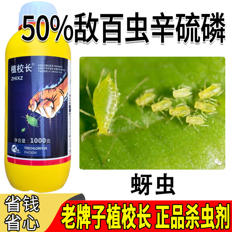 老牌子植校长50%敌百虫辛硫磷棉花蚜虫触杀胃毒杀虫剂
