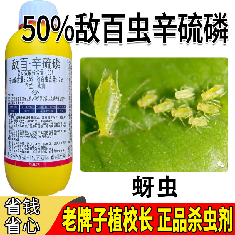 老牌子植校长50%敌百虫辛硫磷棉花蚜虫触杀胃毒杀虫剂