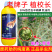 老牌子植校长50%敌百虫辛硫磷棉花蚜虫触杀胃毒杀虫剂
