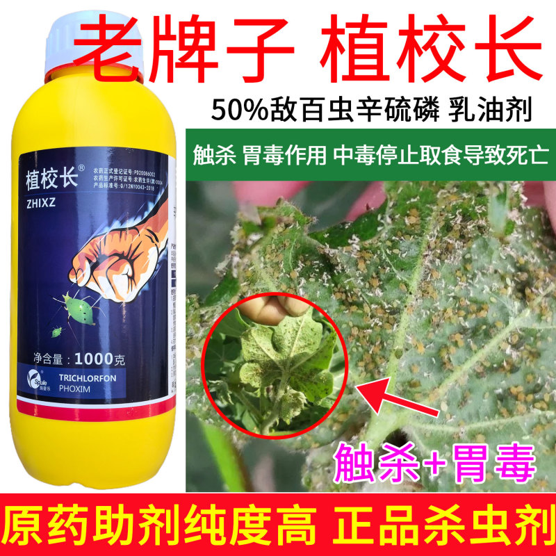 老牌子植校长50%敌百虫辛硫磷棉花蚜虫触杀胃毒杀虫剂