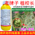 老牌子植校长50%敌百虫辛硫磷棉花蚜虫触杀胃毒杀虫剂