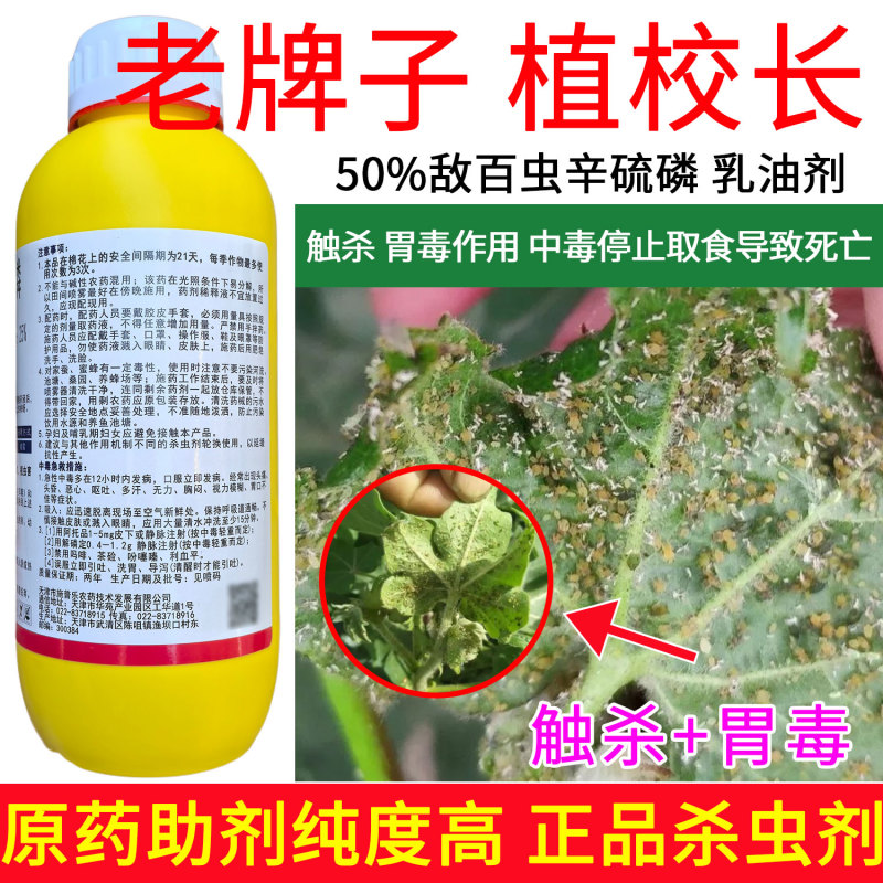 老牌子植校长50%敌百虫辛硫磷棉花蚜虫触杀胃毒杀虫剂