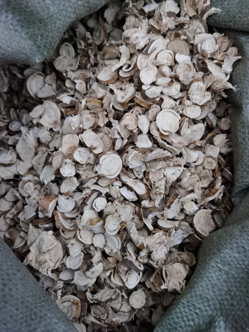 苦参，10号筛货