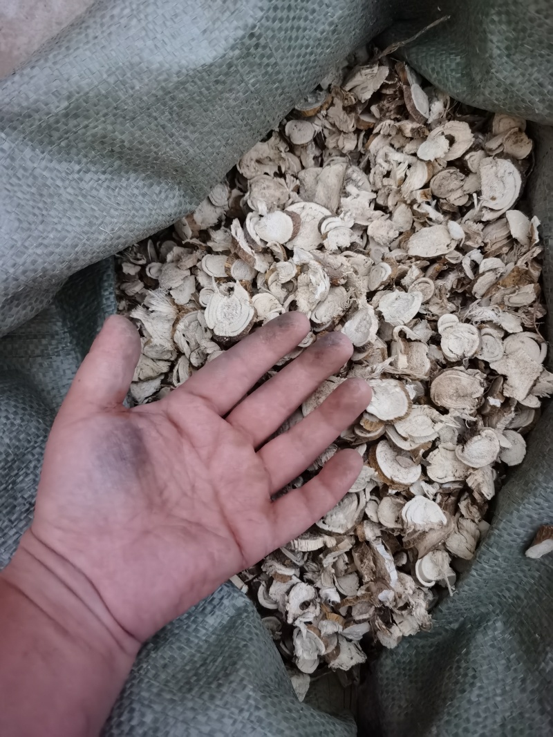 苦参，10号筛货