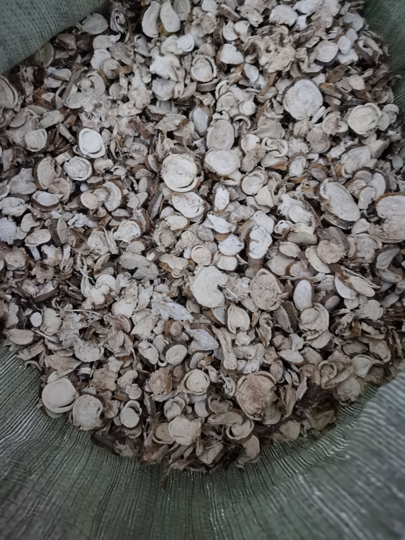 苦参，10号筛货