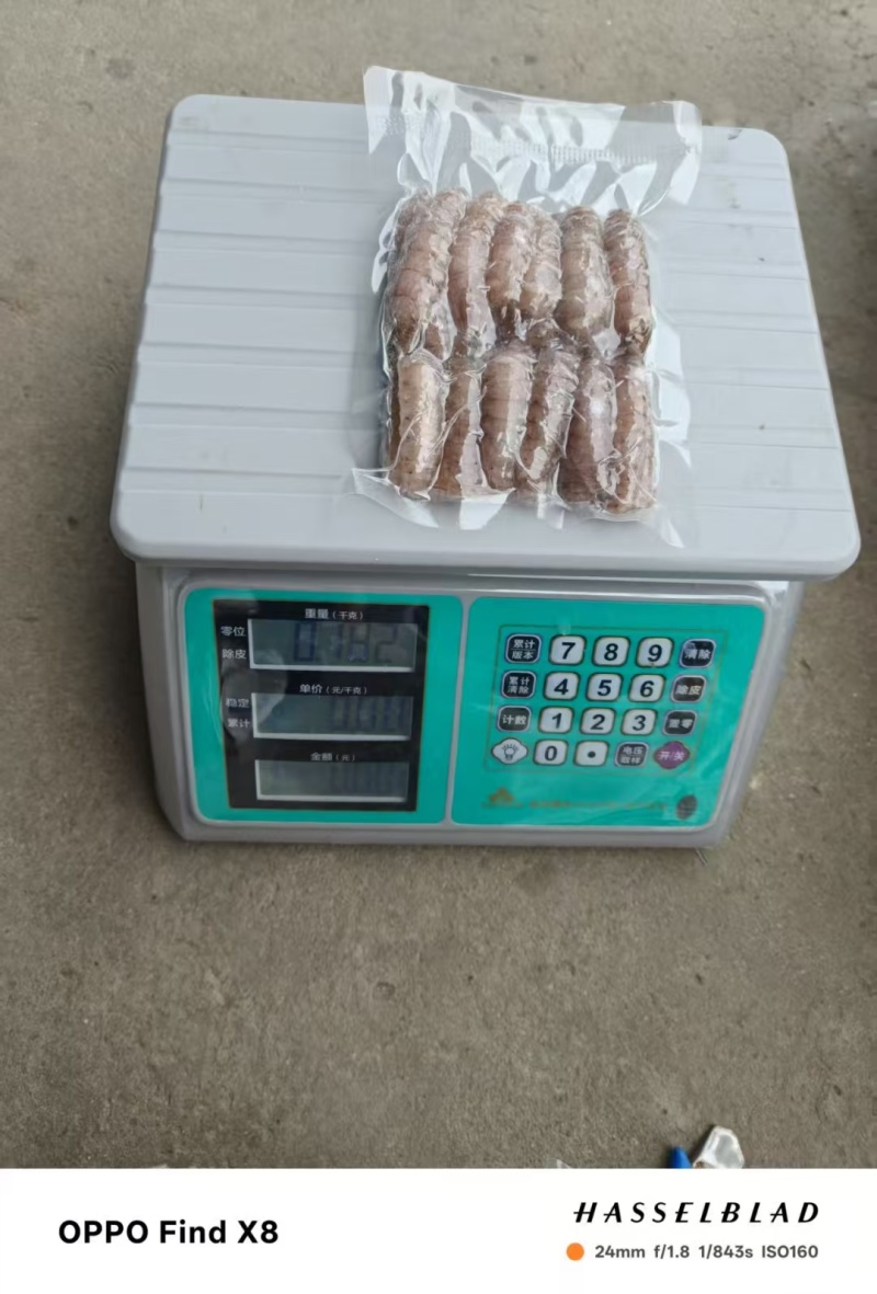 皮皮虾肉