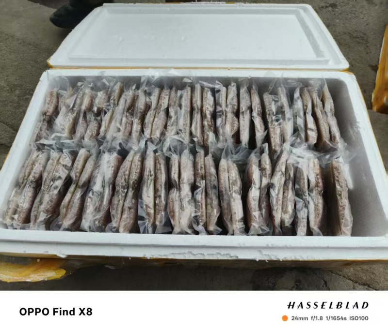 皮皮虾肉