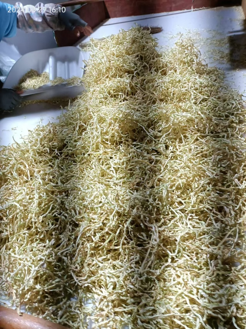 烘干丝