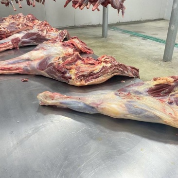 鲜驴肉
