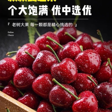 山东大樱桃，支持一件代发，对接各大电商平台，各大仓团购，