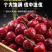 山东大樱桃，支持一件代发，对接各大电商平台，各大仓团购，