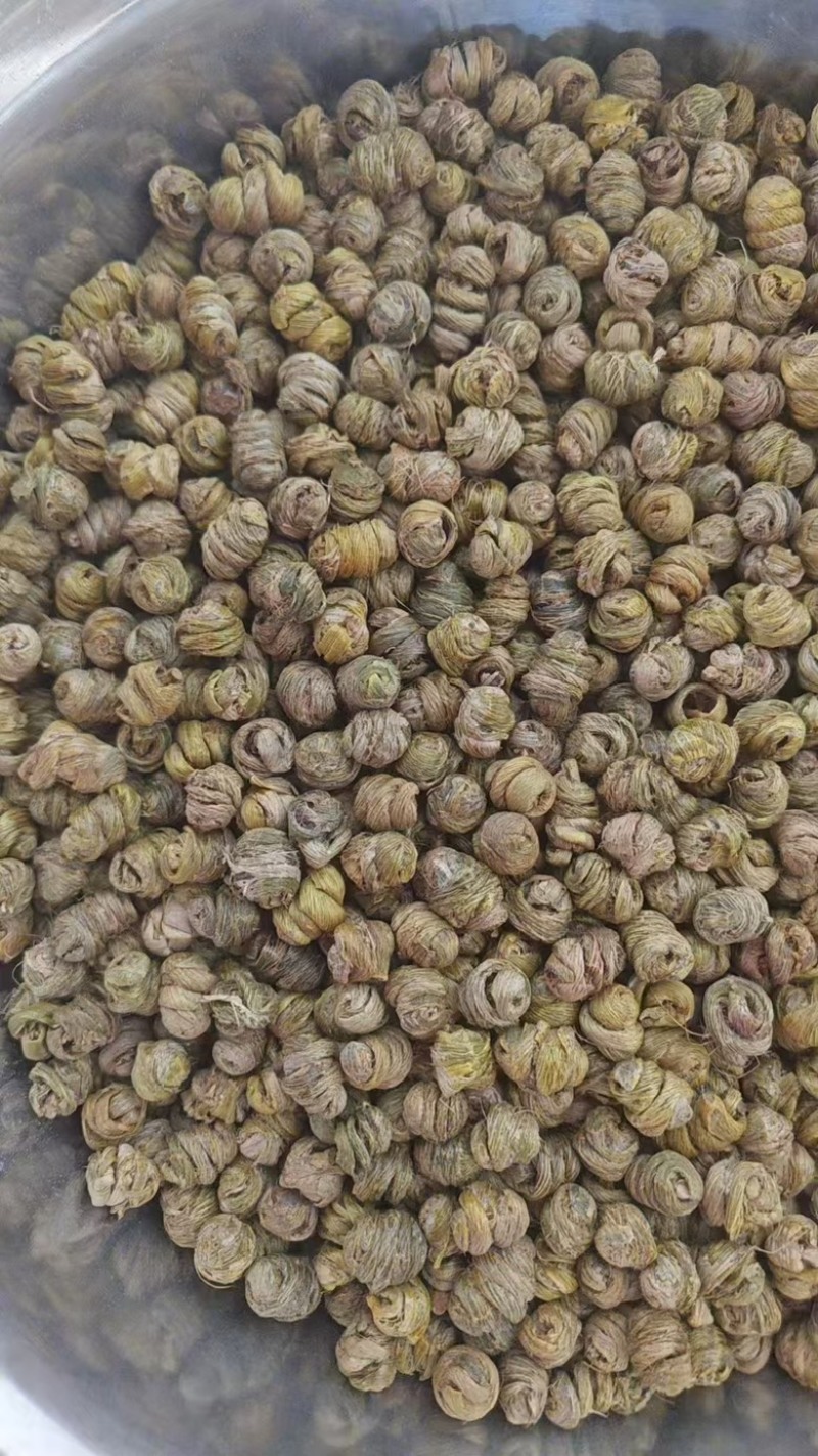 铁皮石斛,枫斗，胶质感，一手货源，量大质优可视频看货